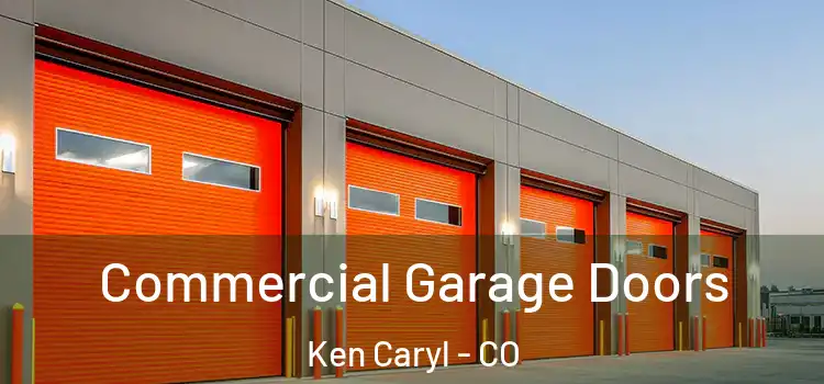  Commercial Garage Doors Ken Caryl - CO
