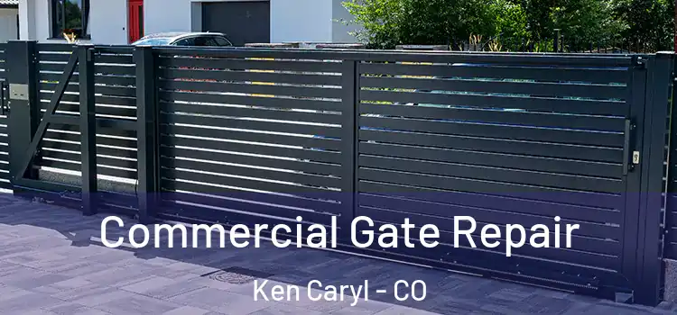  Commercial Gate Repair Ken Caryl - CO