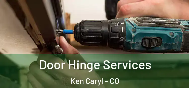  Door Hinge Services Ken Caryl - CO