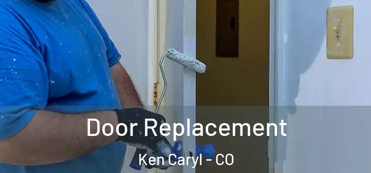  Door Replacement Ken Caryl - CO