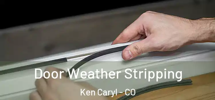  Door Weather Stripping Ken Caryl - CO