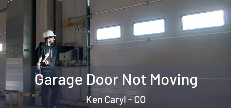  Garage Door Not Moving Ken Caryl - CO