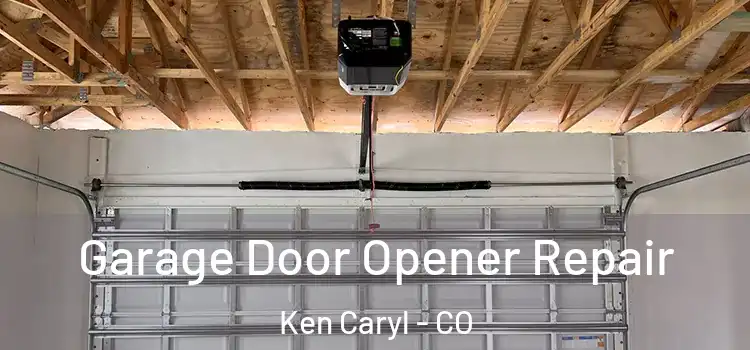  Garage Door Opener Repair Ken Caryl - CO