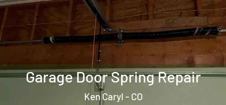  Garage Door Spring Repair Ken Caryl - CO