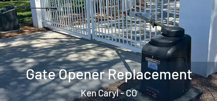  Gate Opener Replacement Ken Caryl - CO