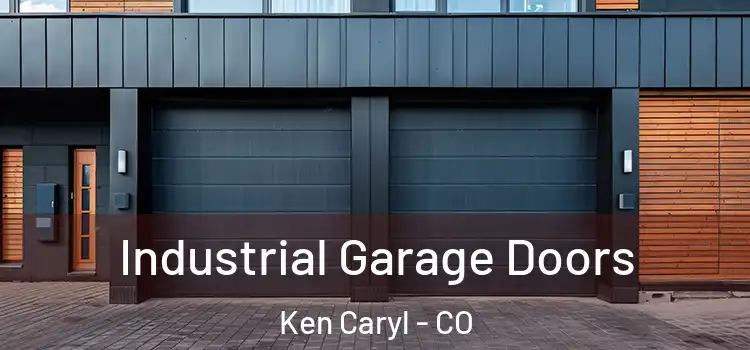  Industrial Garage Doors Ken Caryl - CO