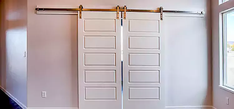 Glass Barn Door with Installation Hardware Kit Ken Caryl