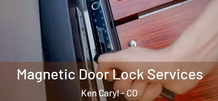  Magnetic Door Lock Services Ken Caryl - CO