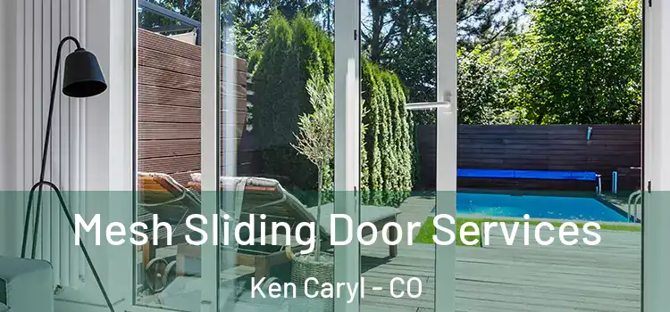  Mesh Sliding Door Services Ken Caryl - CO