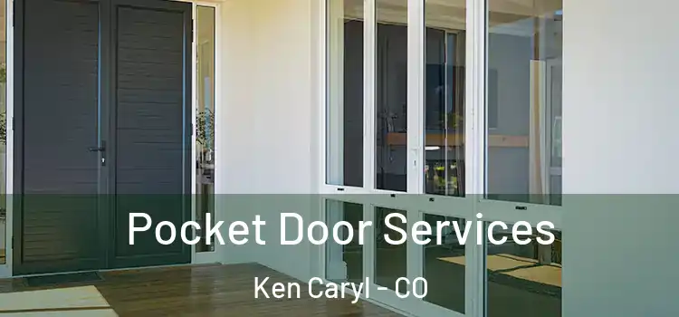  Pocket Door Services Ken Caryl - CO